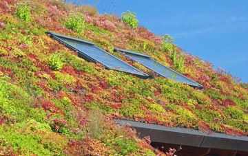 Nast Hyde living roof systems