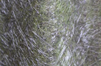 Nast Hyde fibreglass roof work